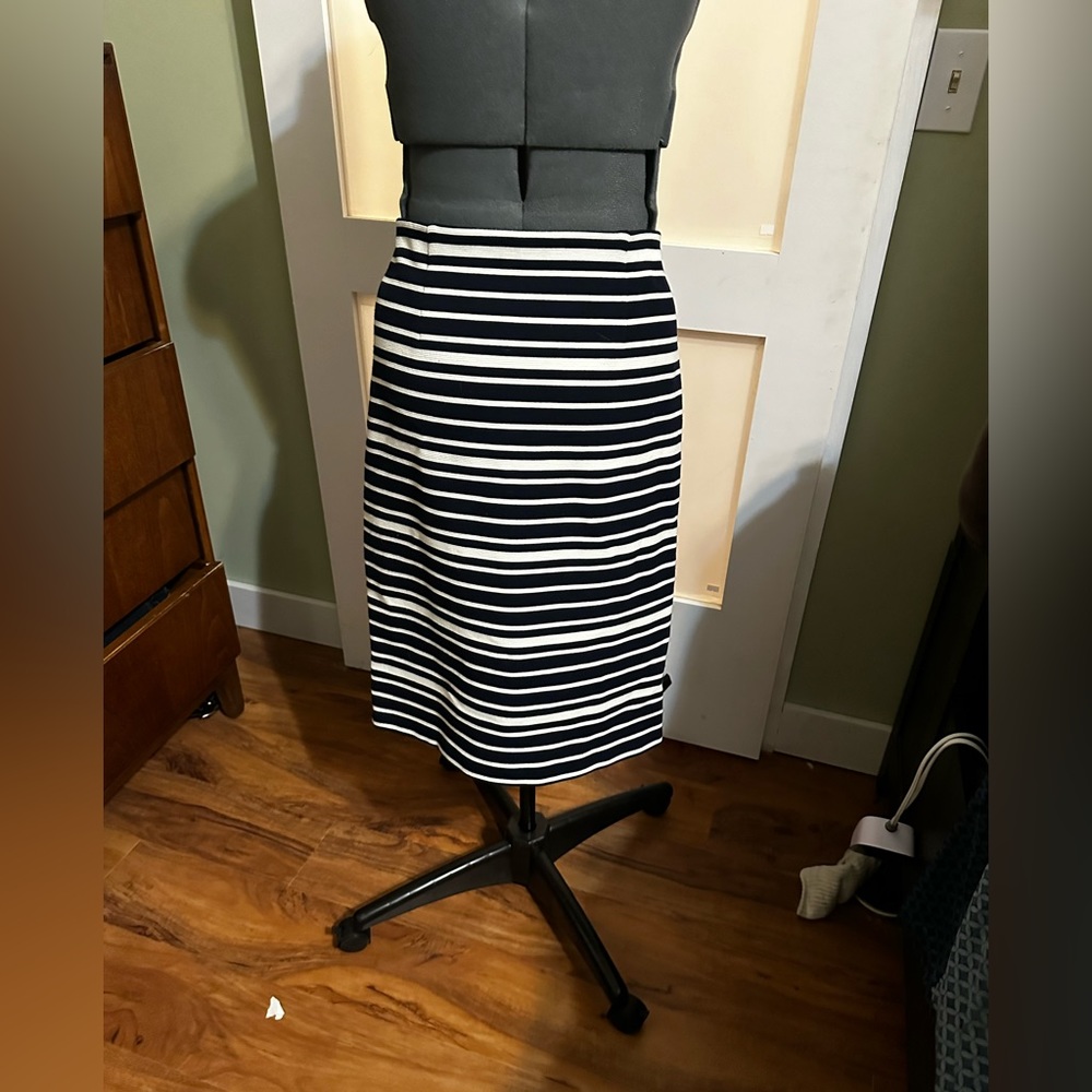 Ann Taylor Pencil Skirt